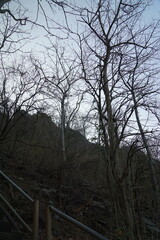 Exploring nature's serenity a winter forest scene mountains photography tranquil environment elevated viewpoint natural beauty