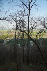 Scenic hiking trail through bare trees mountainous region photography early morning light nature exploration