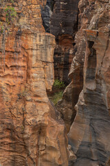 route panoramique, Mpumalanga, Afrique du Sud, Belle nature, attraction de voyage, paysage africain