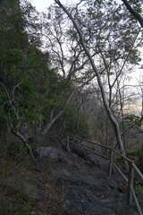 Nature trail adventure mountain landscape photography early morning light scenic view exploration of natural beauty
