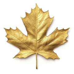Obraz premium A stunning golden maple leaf isolated on a white background, symbolizing beauty and transformation in nature.