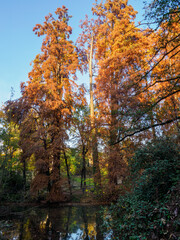 Obraz premium Giardini Montanelli, public park in Milan, Italy, at November