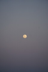 Moonlit night open sky astrophotography serene landscape wide-angle view celestial beauty