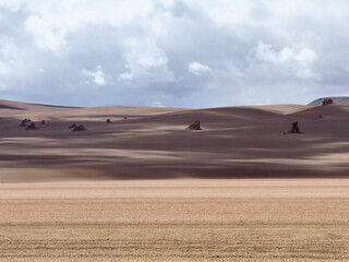 Desert Landscape on the Bolivian Plateau