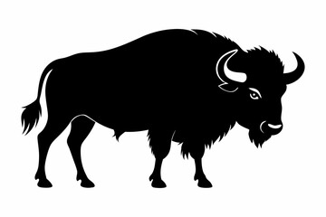 Bison buffalo vector silhouette, bison icon