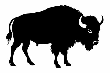 Bison buffalo vector silhouette, bison icon
