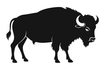 Bison buffalo vector silhouette, bison icon