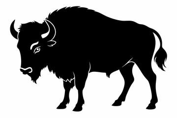 Bison buffalo vector silhouette, bison icon