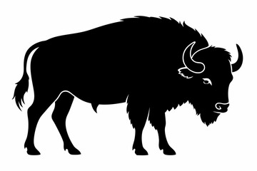 Bison buffalo vector silhouette, bison icon