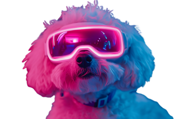 Futuristic Petfluencer Maltese Poodle in VR Goggles