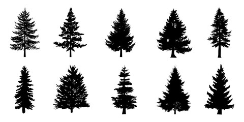 Collection of Black pine trees silhouettes vector Icon. Can be used to illustrate any nature or healthy lifestyle topic.