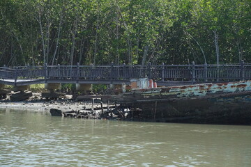 Abandoned boat on mangrove riverbank serene nature scene photography tranquil environment natural viewpoint coastal beauty