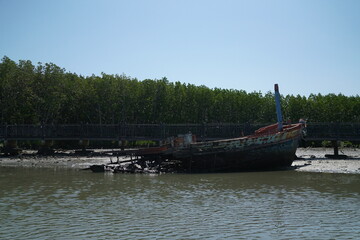 Abandoned fishing boat coastal mangrove forest photography natural habitat side view environmental awareness