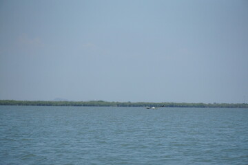 Calm waters and lush greenery tranquil nature scene captured at a serene coastal location