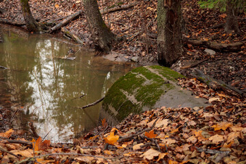 Concrete drain pipe with waste water in forest, water pollution problem, wastewater treatment.