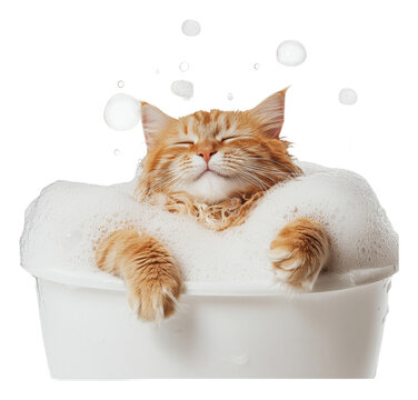 PNG Cat enjoying a bubble bath in a white tub