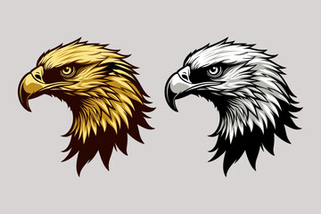 eagle head isolated on white