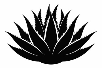 Aloe Vera Vector Silhouette, Agave plant vector, agave symbol