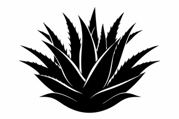 Aloe Vera Vector Silhouette, Agave plant vector, agave symbol