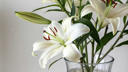 Obraz premium Close-up of a white lily in a glass vase, flower arrangement, elegant decor, glass vase, beautiful blooms