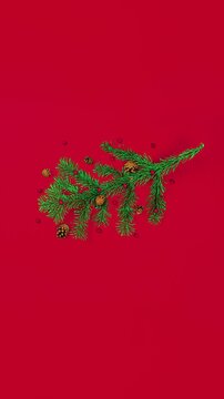 Stop motion animation of New Year's Tree Branch with Cones, minimal New Year, Christmas vertical banner on red background