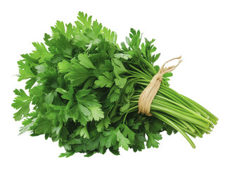 PNG Fresh parsley bunch ready for culinary use