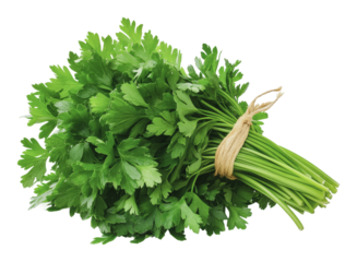 PNG Fresh parsley bunch ready for culinary use