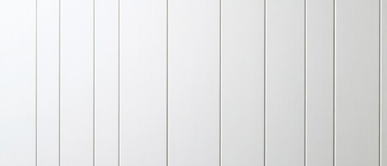 minimalistic white wooden wall with vertical panels