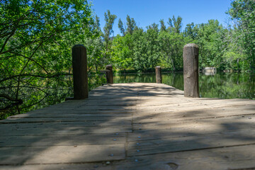 A rustic wooden pier surrounded by lush greenery and calm waters in the Bosque Finlandés of Rascafría, Spain. Ideal for nature, travel, and outdoor themes.