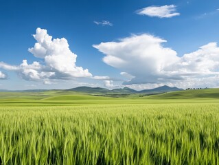 Fototapeta premium lush green fields under a bright blue sky with fluffy clouds