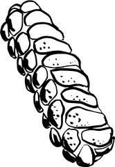 dinner, challah. Christmas related Hand drawn vector sketch illustration