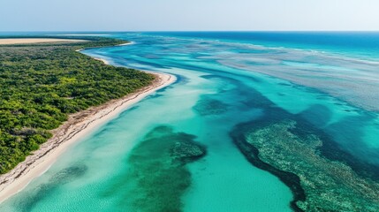 Aerial view of vibrant turquoise waters meeting a sandy shoreline, surrounded by lush greenery and showcasing striking sea green hues.