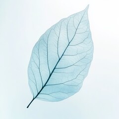 Obraz premium delicate leaf silhouette on a light background