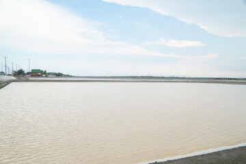 Obraz premium Salt harvesting process in coastal area agriculture scene calm water natural landscape wide angle viewpoint sustainable practices