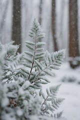 A snow-covered pine leaf in a winter forest with a soft, blurred background of a snow-dusted forest .