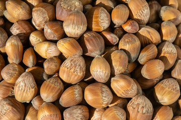 Hazelnut bowl vegetarian food. Kernel raw seed. Hazel nut heap