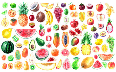 Hand drawn watercolor tropical fruit illustration set. Pineapple, banana, dragon fruit, kiwi, fig, mango, coconut