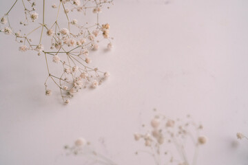 Elegant Floral Frame Border with White floral branch on  white marble background. Invitation, greeting card. Copy space, mock up template. Flat lay, top view, minimal composition.