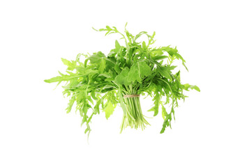 Bunch of fresh arugula leaves isolated on white