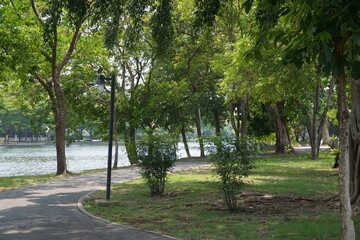 Relaxing stroll by the lake green park nature walk urban oasis serene atmosphere tranquil retreat