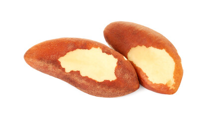 Two tasty Brazil nuts isolated on white