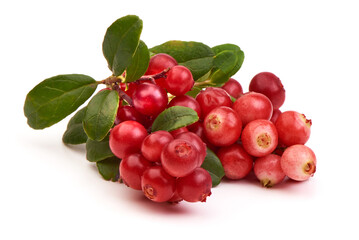 Lingonberry with leaves, isolated on white background. High resolution image.