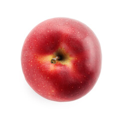 One ripe red apple isolated on white, top view