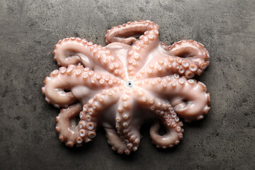 One fresh raw octopus on grey textured table, top view © New Africa