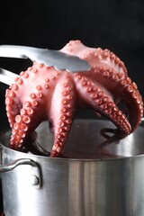 Putting fresh octopus into pan with boiled water on stove, closeup © New Africa