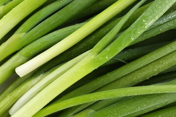 Many fresh green onions as background, closeup