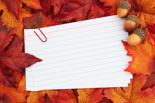 Blank index cards with fall leaves and acorns on red wood