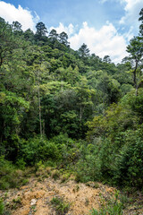 parque nacional la tigra
