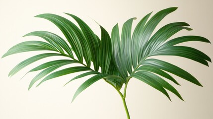Obraz premium Lush green palm frond on beige background.