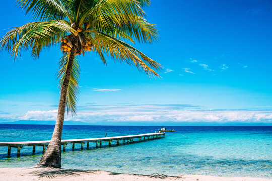 utila